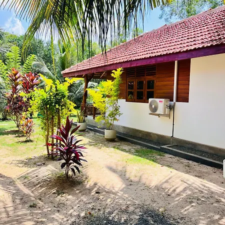 Hanguk Lanka Lagoon Villa-3
